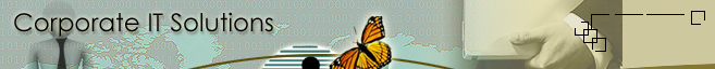 Ideal  Automations Corporate IT Solution