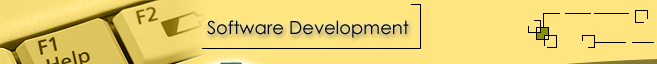 Ideal Automations Provides Custom Software Development and Implementation