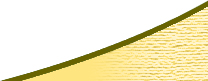 Ideal Automations Develops Custom Application Solutions to Solve Your Business Needs
