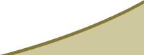 Ideal Automations Corporate Solution, Microsoft Windows Small Business Server (SBS)