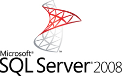 Ideal Automations Corporate Solutions, Microsoft SQL Server