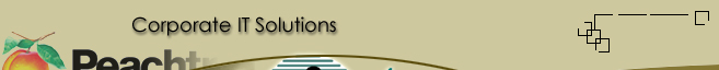 Ideal Automations Corporate Accounting Solution, Peachtree by Sage