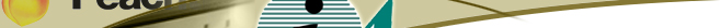 Ideal Automations Corporate Accounting Solution, Peachtree by Sage