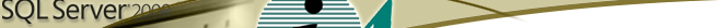 Ideal Automations Corporate Solutions, Microsoft SQL Server