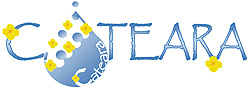 Cateara Logo